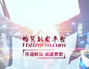 电子商务技术 现代商业的数字化引擎