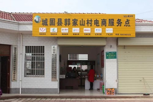 电子商务技术助力城固扶贫 2120户贫困户搭上电商新列车